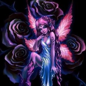 Meet your Posher, Lori